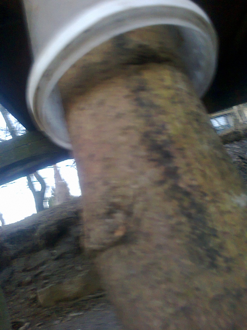 mrowki 0129 - Kopia.jpg